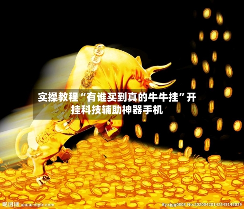 实操教程“有谁买到真的牛牛挂”开挂科技辅助神器手机-第2张图片