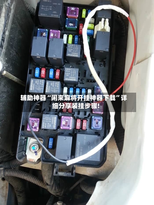 辅助神器“闲来麻将开挂神器下载”详细分享装挂步骤!-第2张图片