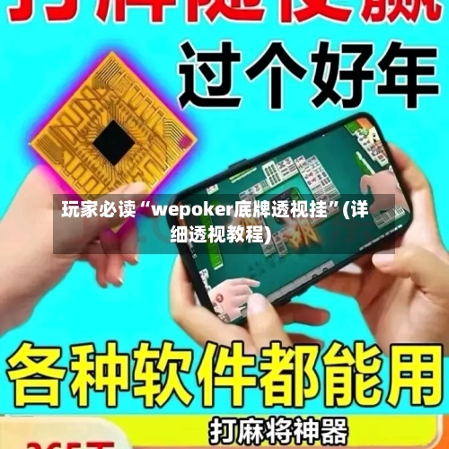 玩家必读“wepoker底牌透视挂”(详细透视教程)-第3张图片