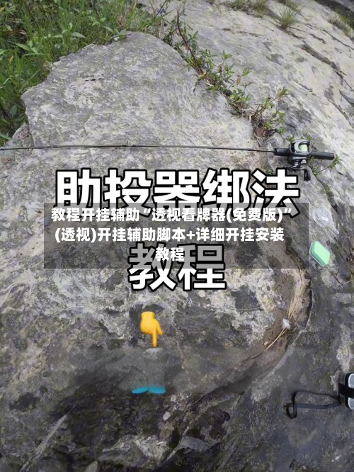 教程开挂辅助“透视看牌器(免费版)	”(透视)开挂辅助脚本+详细开挂安装教程-第3张图片