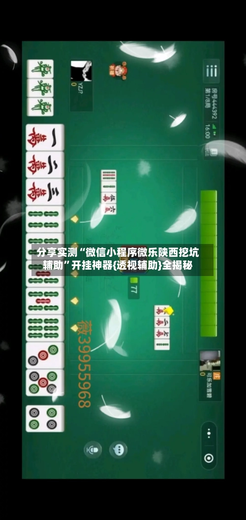 分享实测“微信小程序微乐陕西挖坑辅助”开挂神器{透视辅助}全揭秘-第3张图片