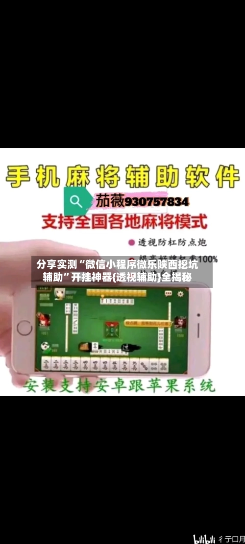 分享实测“微信小程序微乐陕西挖坑辅助	”开挂神器{透视辅助}全揭秘-第2张图片