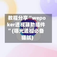 教程分享“wepoker透视辅助插件”(曝光透视必备猫腻)-第3张图片