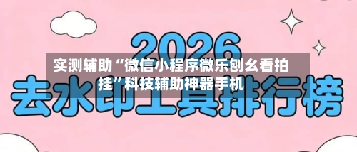 实测辅助“微信小程序微乐刨幺看拍挂”科技辅助神器手机-第2张图片
