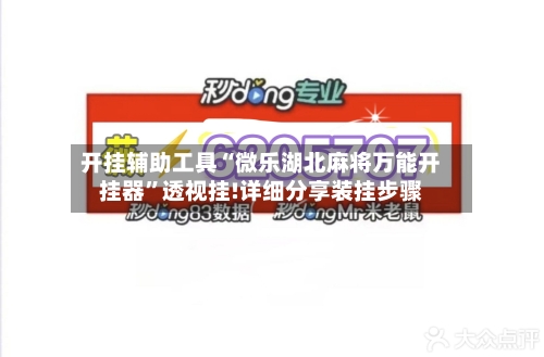 开挂辅助工具“微乐湖北麻将万能开挂器”透视挂!详细分享装挂步骤-第2张图片