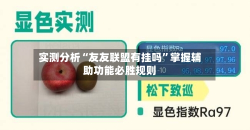 实测分析“友友联盟有挂吗”掌握辅助功能必胜规则-第2张图片