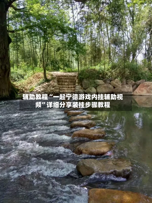 辅助教程“一起宁德游戏内挂辅助视频”详细分享装挂步骤教程-第2张图片