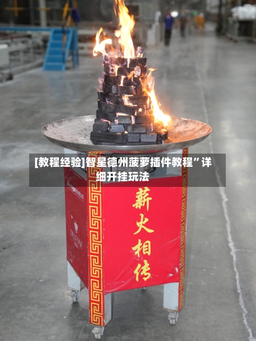 [教程经验]智星德州菠萝插件教程”详细开挂玩法-第3张图片