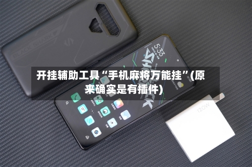 开挂辅助工具“手机麻将万能挂”(原来确实是有插件)-第3张图片