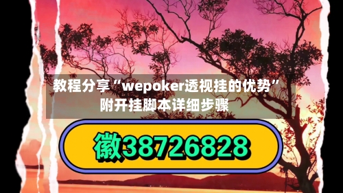 教程分享“wepoker透视挂的优势”附开挂脚本详细步骤-第3张图片