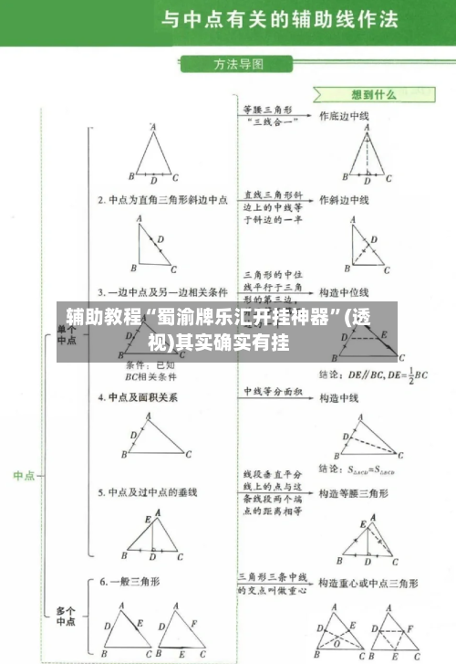 辅助教程“蜀渝牌乐汇开挂神器”(透视)其实确实有挂-第2张图片