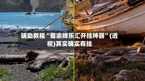 辅助教程“蜀渝牌乐汇开挂神器”(透视)其实确实有挂-第3张图片