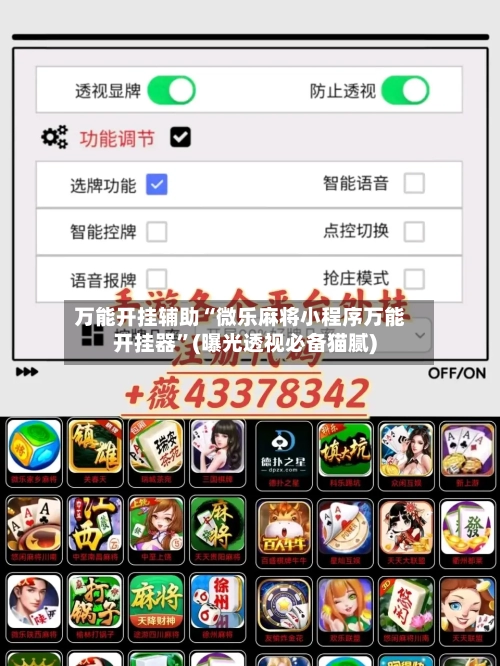 万能开挂辅助“微乐麻将小程序万能开挂器”(曝光透视必备猫腻)-第3张图片