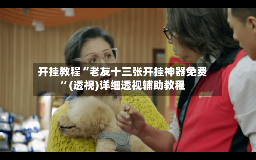 开挂教程“老友十三张开挂神器免费”(透视)详细透视辅助教程-第3张图片