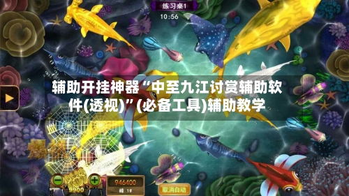 辅助开挂神器“中至九江讨赏辅助软件(透视)”(必备工具)辅助教学-第3张图片