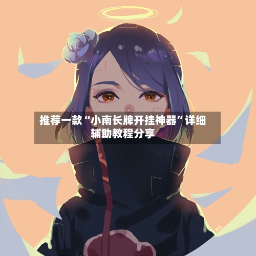 推荐一款“小南长牌开挂神器”详细辅助教程分享-第3张图片