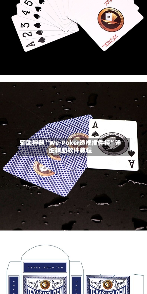 辅助神器“We-Poker透视插件挂”详细辅助软件教程