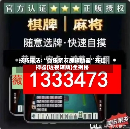 技巧玩法:“微乐亲友房辅助器	”开挂神器{透视辅助}全揭秘-第2张图片