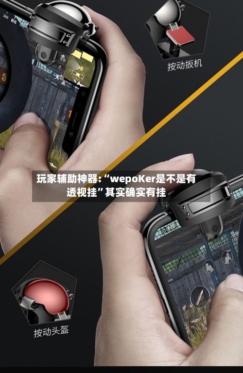 玩家辅助神器:“wepoKer是不是有透视挂”其实确实有挂-第2张图片