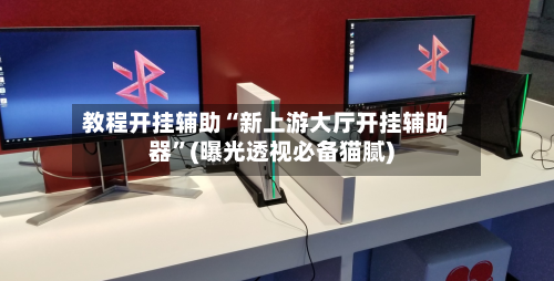 教程开挂辅助“新上游大厅开挂辅助器”(曝光透视必备猫腻)-第2张图片