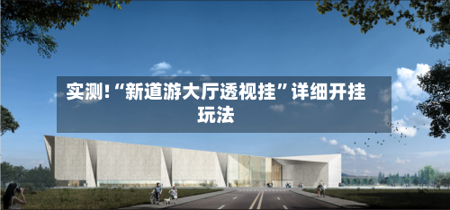 实测!“新道游大厅透视挂”详细开挂玩法-第2张图片