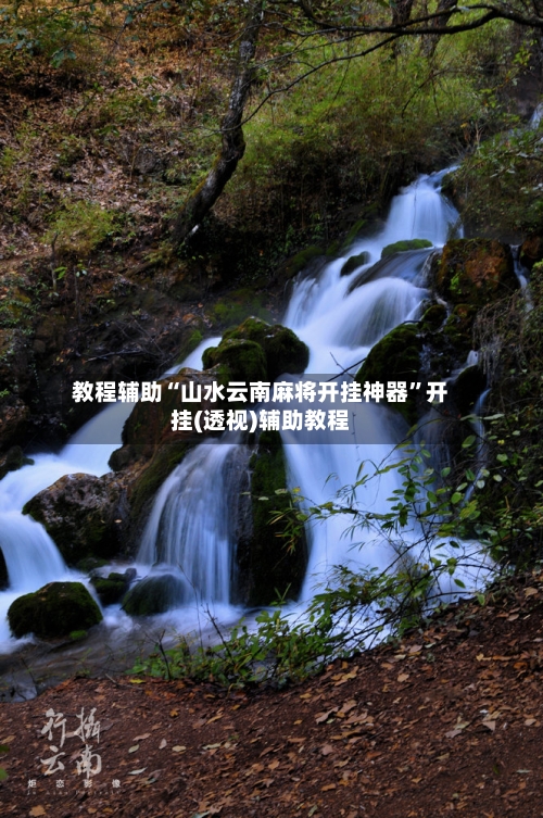 教程辅助“山水云南麻将开挂神器	”开挂(透视)辅助教程-第2张图片