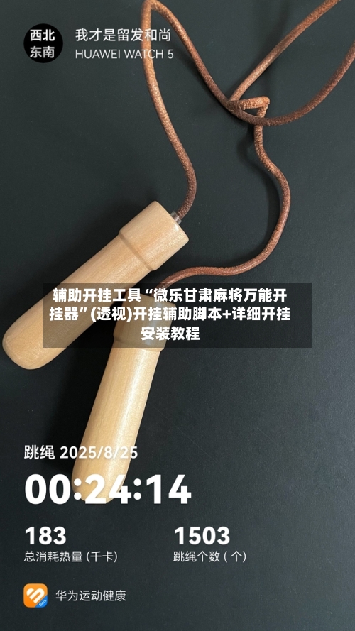 辅助开挂工具“微乐甘肃麻将万能开挂器”(透视)开挂辅助脚本+详细开挂安装教程-第3张图片