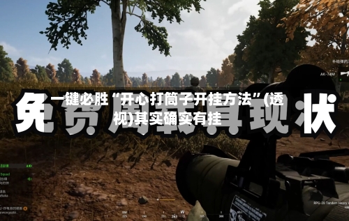 一键必胜“开心打筒子开挂方法	”(透视)其实确实有挂-第2张图片