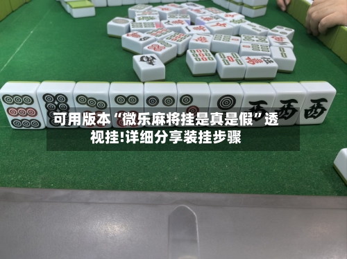 可用版本“微乐麻将挂是真是假”透视挂!详细分享装挂步骤-第2张图片