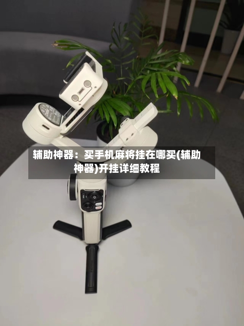 辅助神器：买手机麻将挂在哪买(辅助神器)开挂详细教程-第3张图片