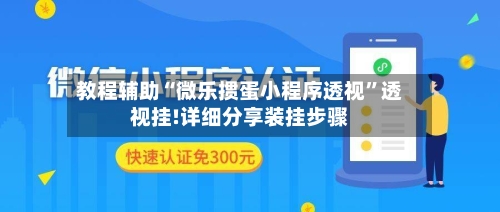 教程辅助“微乐掼蛋小程序透视”透视挂!详细分享装挂步骤-第3张图片