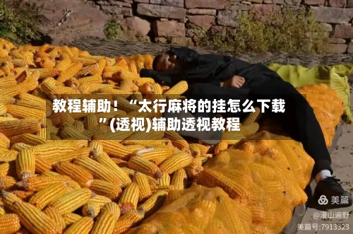 教程辅助！“太行麻将的挂怎么下载”(透视)辅助透视教程-第3张图片