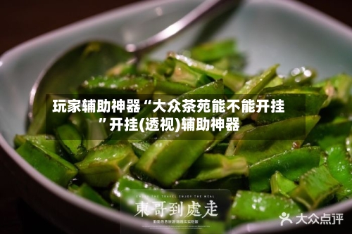 玩家辅助神器“大众茶苑能不能开挂”开挂(透视)辅助神器-第2张图片