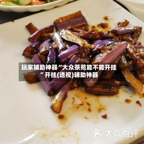 玩家辅助神器“大众茶苑能不能开挂”开挂(透视)辅助神器-第3张图片