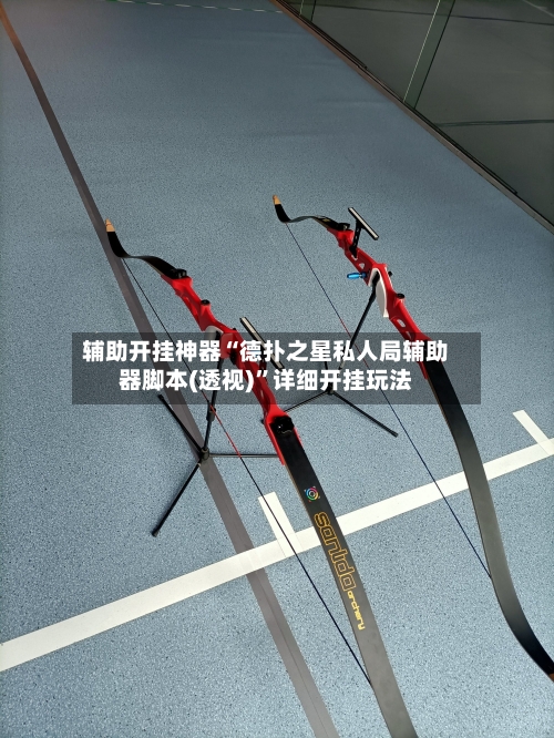 辅助开挂神器“德扑之星私人局辅助器脚本(透视)	”详细开挂玩法-第2张图片