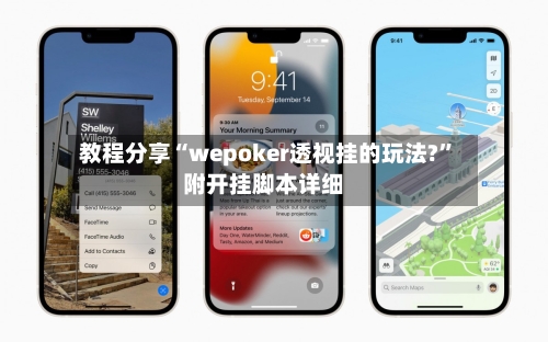 教程分享“wepoker透视挂的玩法?”附开挂脚本详细-第2张图片