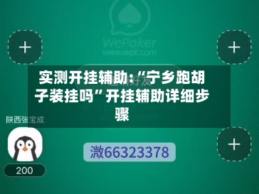 实测开挂辅助:“宁乡跑胡子装挂吗”开挂辅助详细步骤-第3张图片