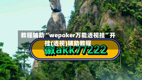 教程辅助“wepoker万能透视挂	”开挂(透视)辅助教程-第3张图片