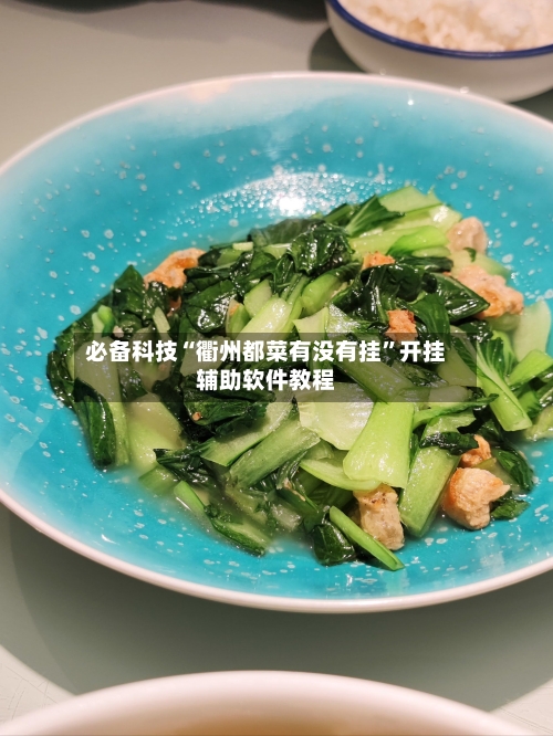必备科技“衢州都菜有没有挂”开挂辅助软件教程-第2张图片