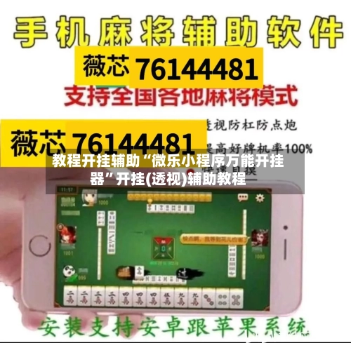 教程开挂辅助“微乐小程序万能开挂器”开挂(透视)辅助教程-第3张图片