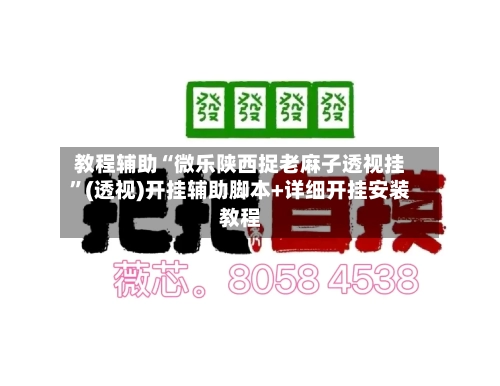 教程辅助“微乐陕西捉老麻子透视挂”(透视)开挂辅助脚本+详细开挂安装教程-第2张图片