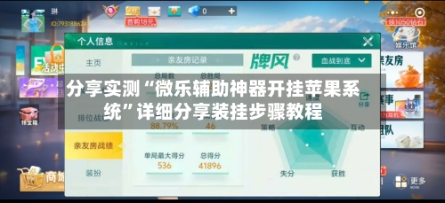 分享实测“微乐辅助神器开挂苹果系统”详细分享装挂步骤教程-第2张图片