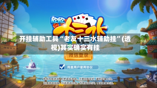 开挂辅助工具“老友十三水辅助挂”(透视)其实确实有挂-第3张图片