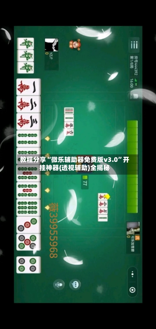 教程分享“微乐辅助器免费版v3.0”开挂神器{透视辅助}全揭秘