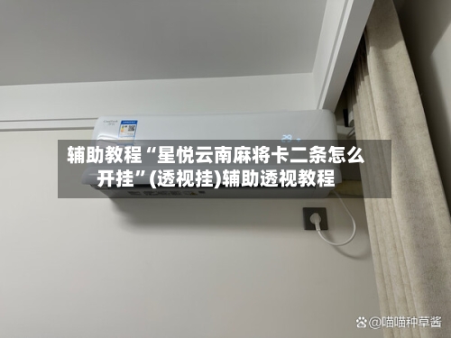 辅助教程“星悦云南麻将卡二条怎么开挂”(透视挂)辅助透视教程-第2张图片