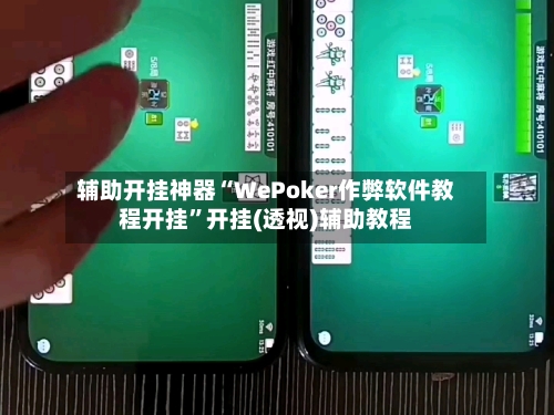 辅助开挂神器“WePoker作弊软件教程开挂	”开挂(透视)辅助教程-第2张图片