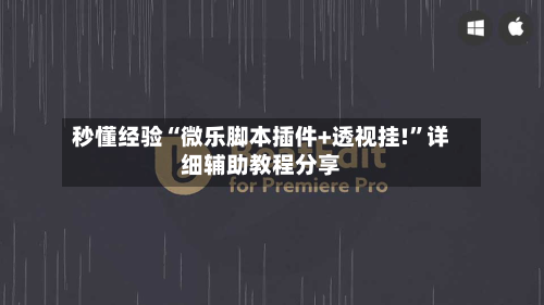 秒懂经验“微乐脚本插件+透视挂!”详细辅助教程分享-第3张图片