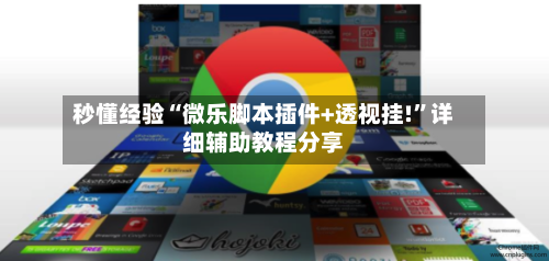 秒懂经验“微乐脚本插件+透视挂!”详细辅助教程分享-第2张图片