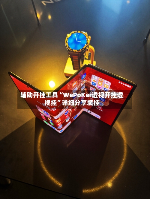 辅助开挂工具“WePoKer透视开挂透视挂”详细分享装挂-第3张图片