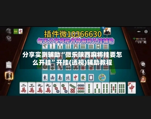 分享实测辅助“微乐陕西麻将挂要怎么开挂	”开挂(透视)辅助教程-第2张图片